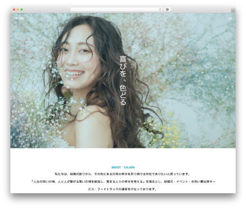 CURE WordPress theme - calars.com