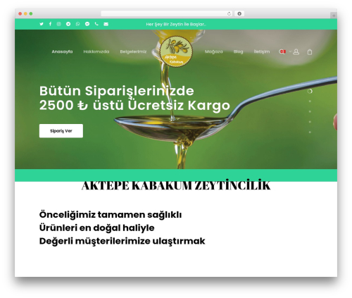 Payment_paynet WordPress plugin - aktepekabakum.com
