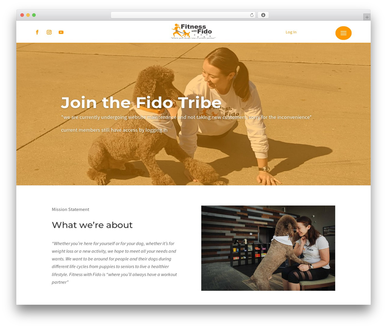 Theme WordPress Divi - fidotribe.fit Theme WordPress Divi - fidotribe.fit