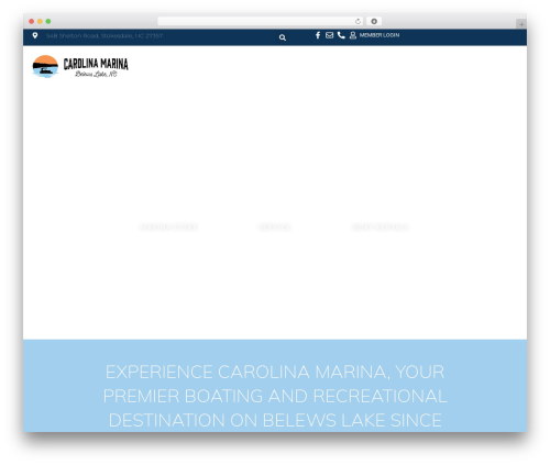 WordPress theme Hello Elementor - carolinamarina.com