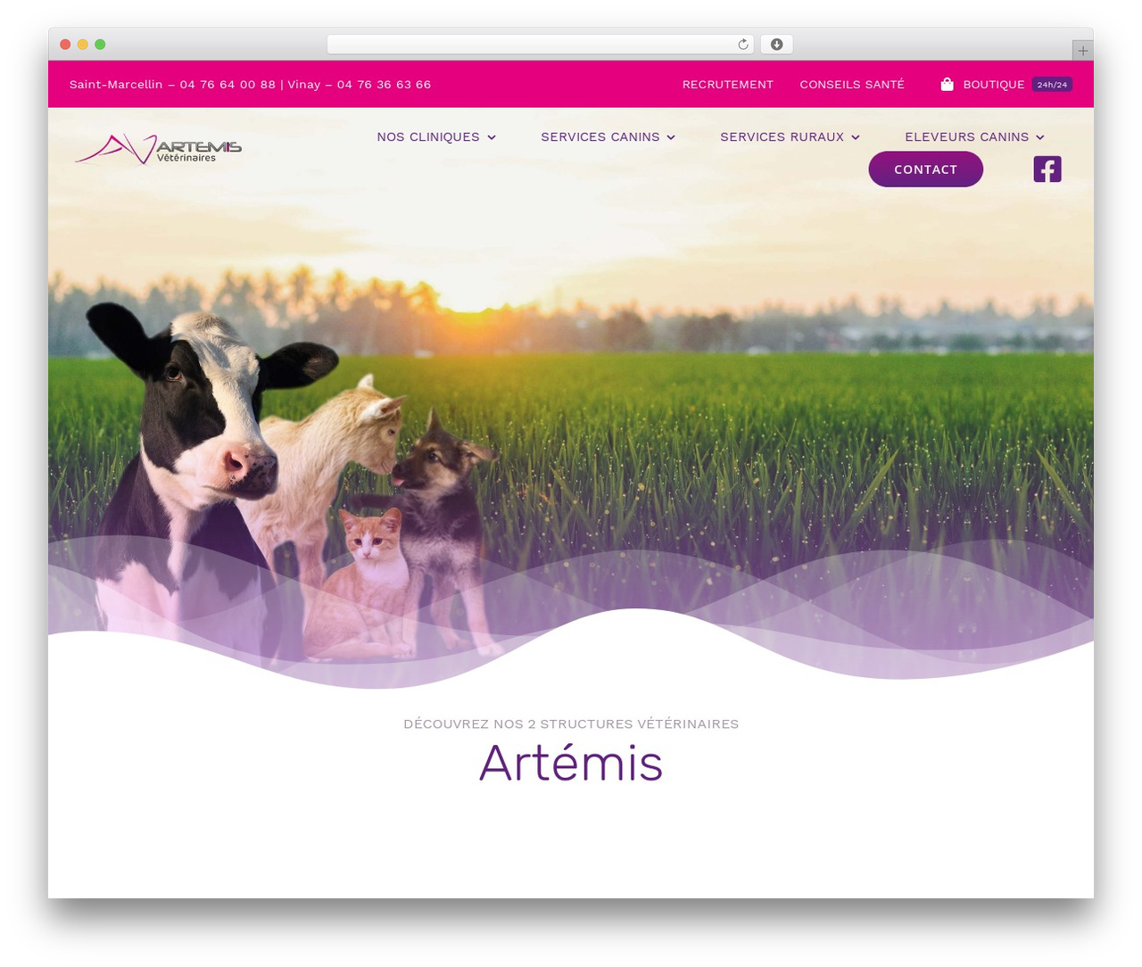 WordPress theme Avada - veterinaire-artemis.com