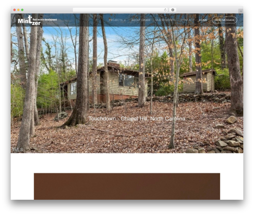 WordPress theme Divi - brucemintzer.com