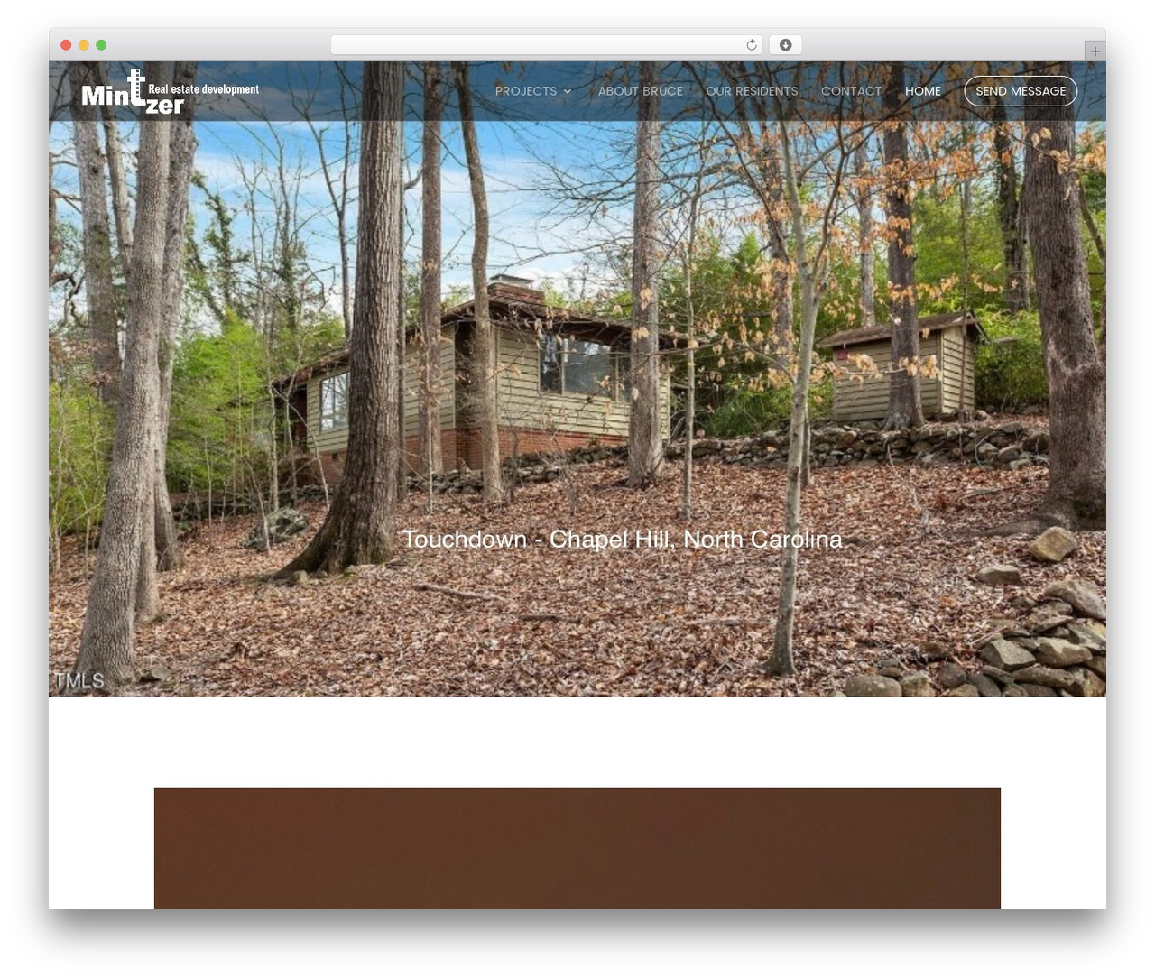 WordPress theme Divi - brucemintzer.com