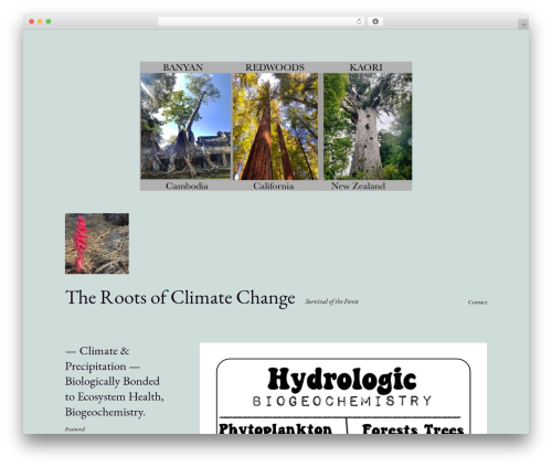 Custom Fonts (custom-fonts) free WordPress plugin - feedthefungi.com Custom Fonts (custom-fonts) free WordPress plugin - feedthefungi.com