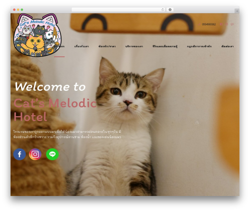 WordPress theme Pawsitive - catsmelodichotel.com