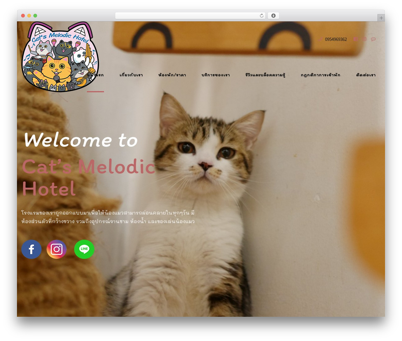 WordPress theme Pawsitive - catsmelodichotel.com WordPress theme Pawsitive - catsmelodichotel.com