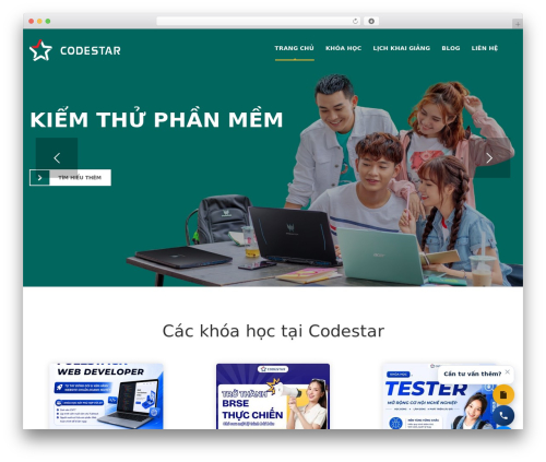 Stm post type WordPress plugin - codestar.vn