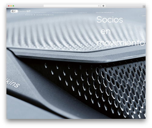 Elementor pro 8 WordPress plugin - electrosit.com