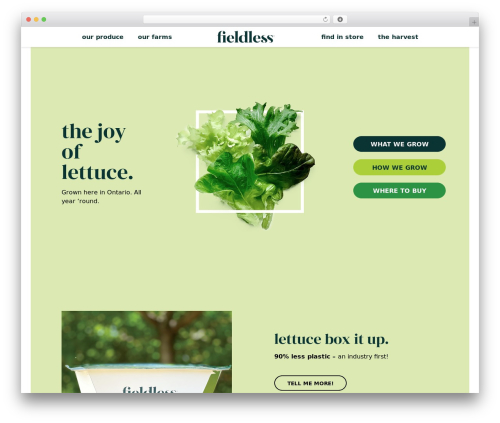 fieldless WordPress theme - fieldless.com