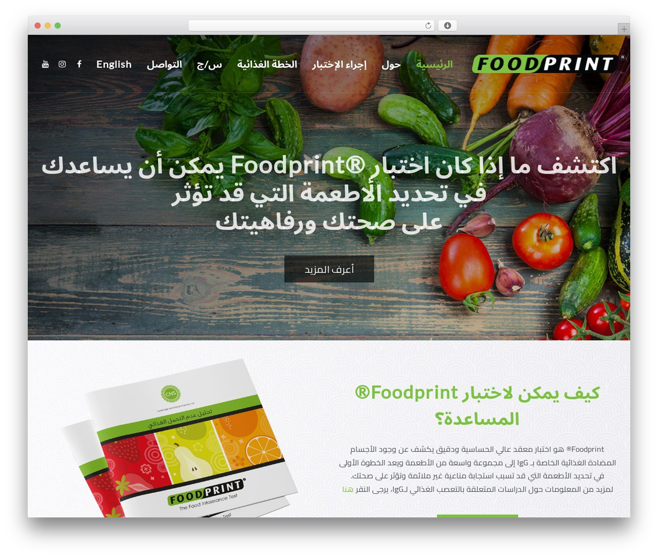 Theme WordPress Lambda - foodprintarabia.com Theme WordPress Lambda - foodprintarabia.com