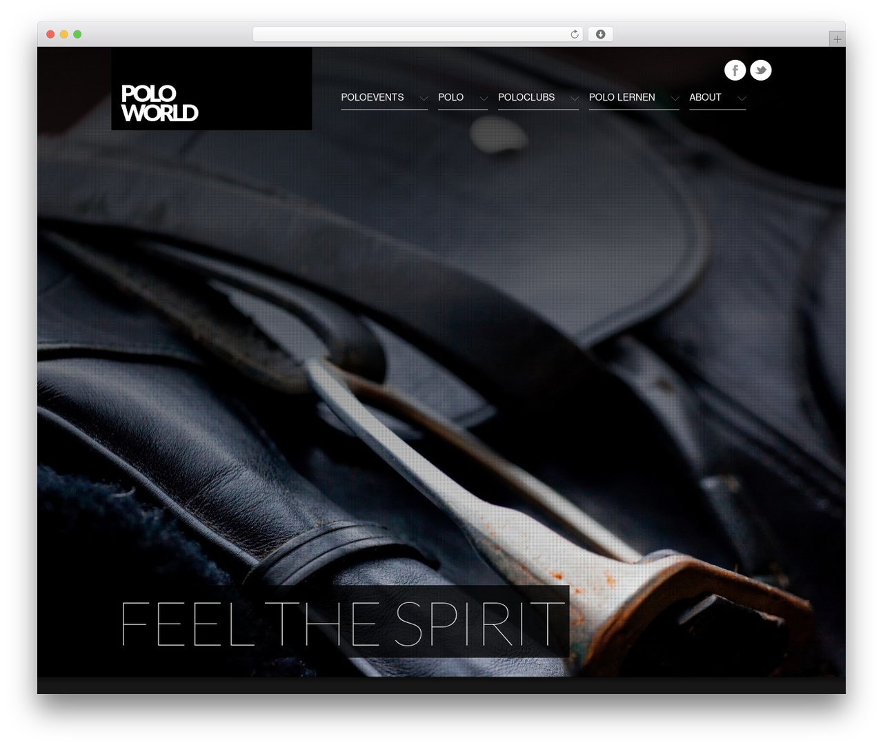 Vega Responsive WordPress Theme WordPress theme - polo-world.eu