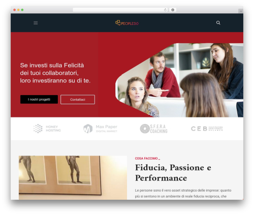 Zikzag core WordPress plugin - performamentis.com