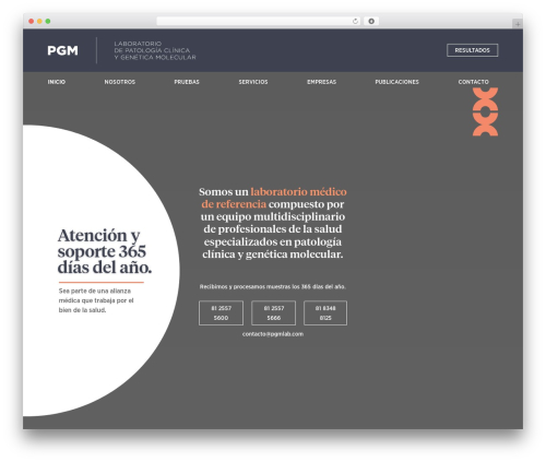 Wp_media_boxes WordPress plugin - pgmlab.com