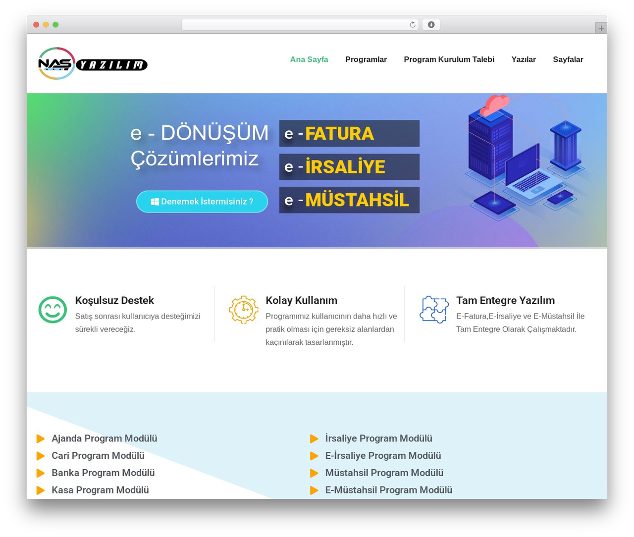 Fionca WordPress theme - nasyazilim.com