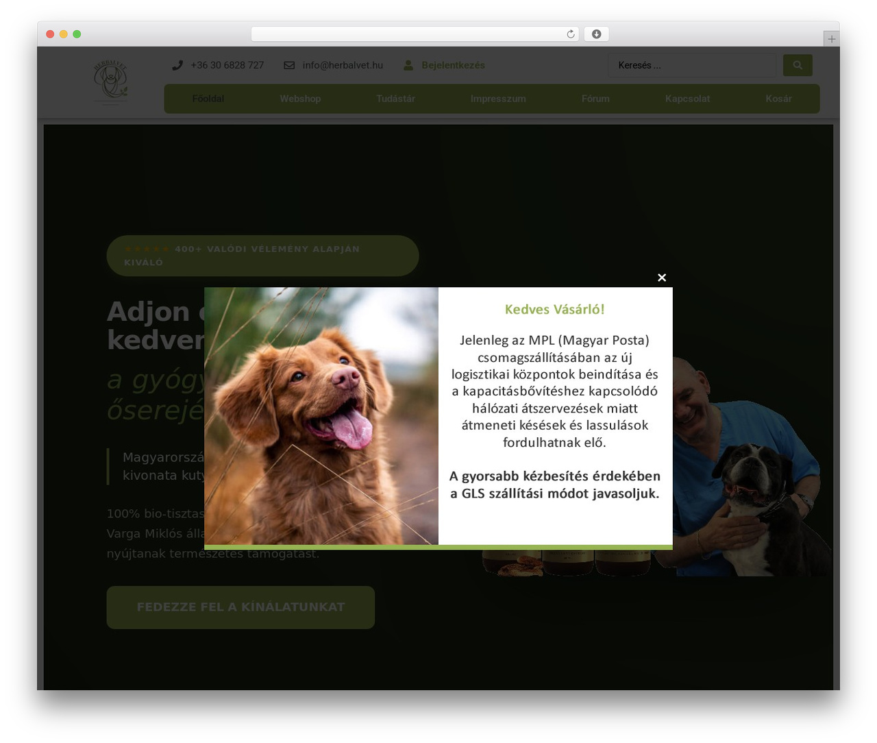 Hello Elementor WordPress theme - herbalvet.hu Hello Elementor WordPress theme - herbalvet.hu