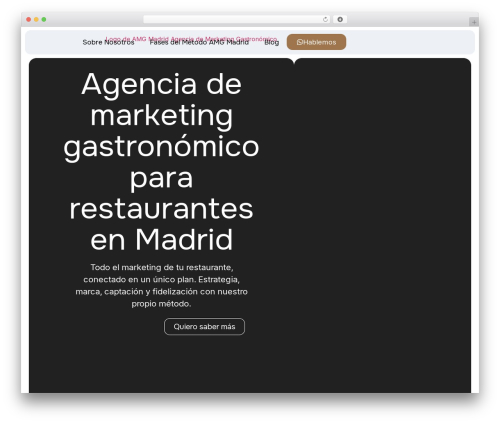 Custom iframe WordPress plugin - amgmadrid.com