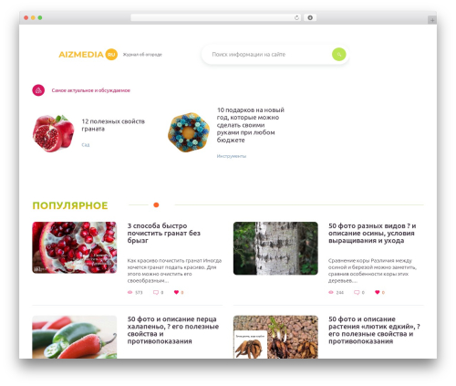 Rusup WordPress theme - aizmedia.ru
