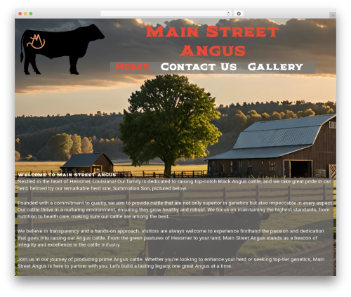Theme WordPress APS Theme - mainstreetangus.com