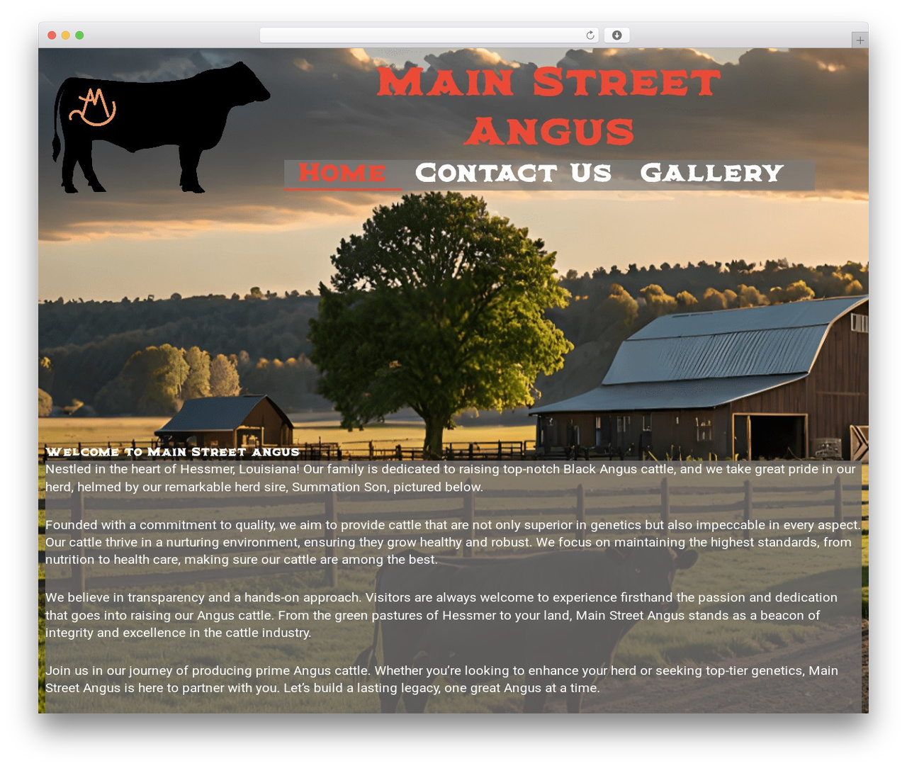Theme WordPress APS Theme - mainstreetangus.com