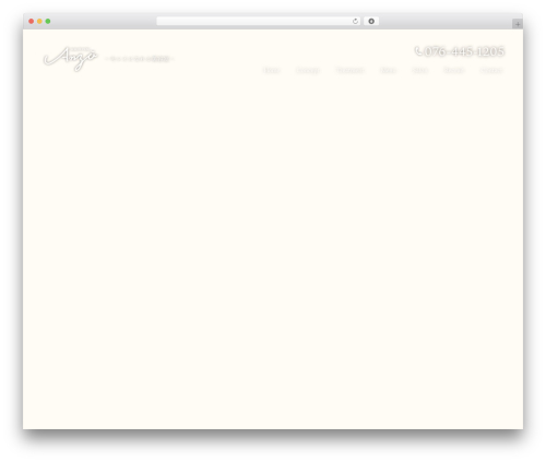Theme WordPress Themify Basic - h-anzu.com
