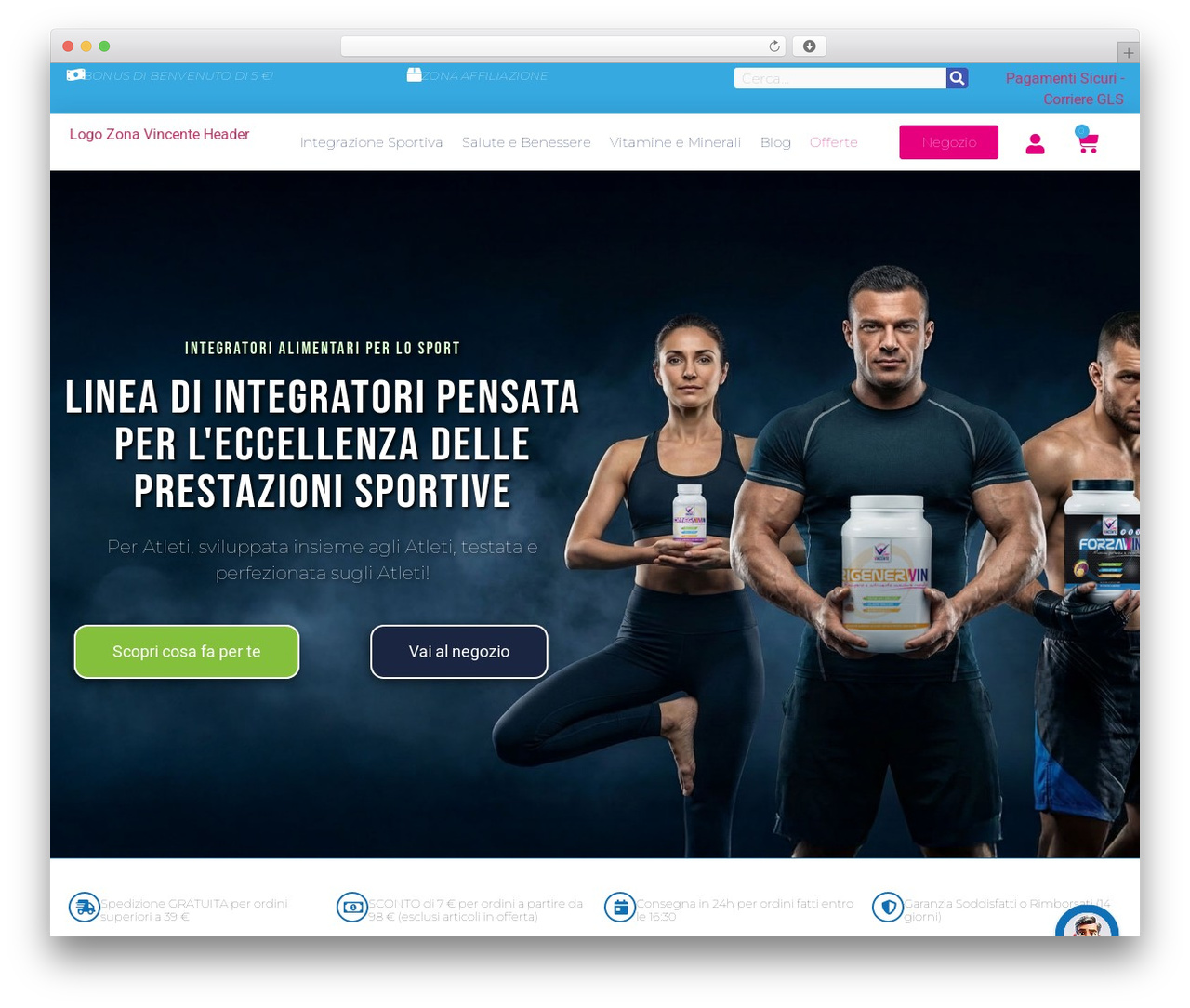 WordPress theme Hello Elementor - www.zonavincente.com