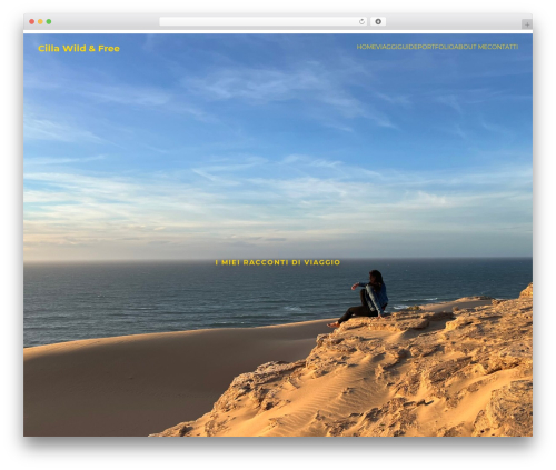 Salient widgets WordPress plugin - www.cillawildandfree.com