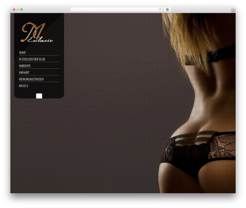 Smartscreen contact form WordPress plugin - m-exclusiv.com