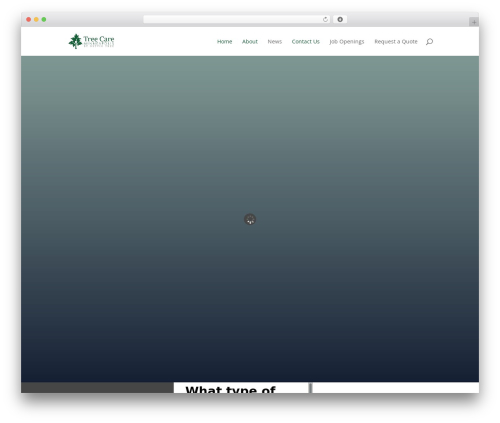 Tripetto pro WordPress plugin - treecareminneapolis.com