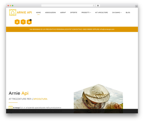 Arnie Api WordPress website theme - arnieapi.com