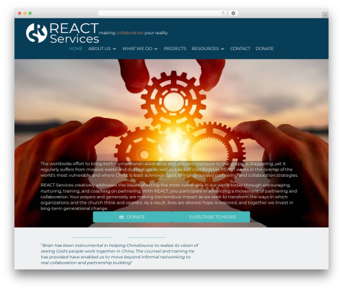 Bt pro WordPress plugin - reactservices.com