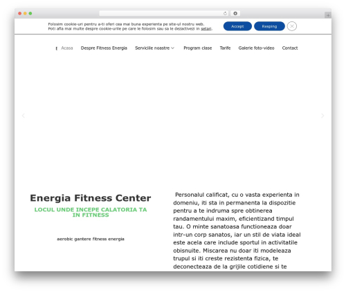 Telephone field for elementor forms WordPress plugin - fitnessenergia.ro