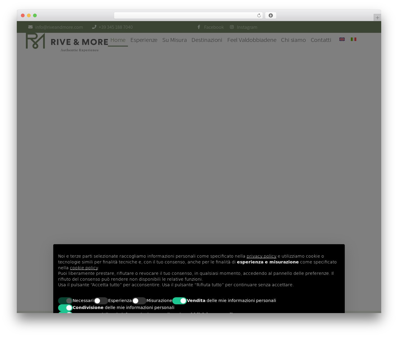 Hello Elementor WordPress theme design - riveandmore.com