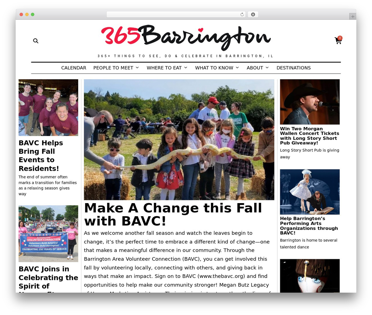 Theme WordPress Fox - 365barrington.com