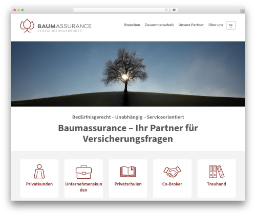 TNT theme premium WordPress theme - baumassurance.ch