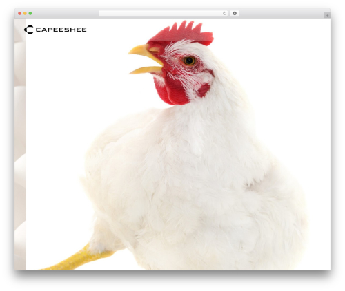 Uncode js_composer WordPress plugin - capeeshee.com