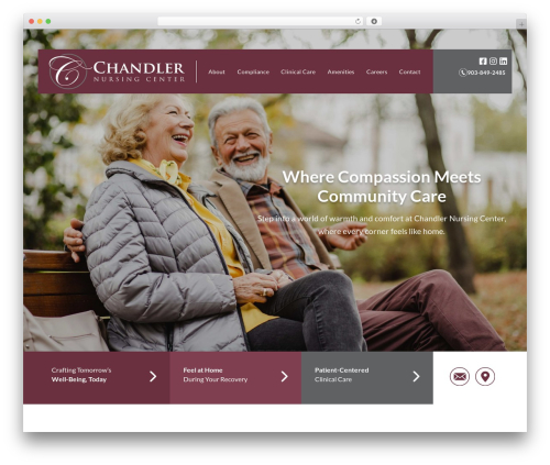 WordPress theme GES - chandlernursingcenter.com