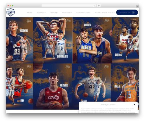 WordPress theme Isabasketball - theinternationalsportsacademy.com
