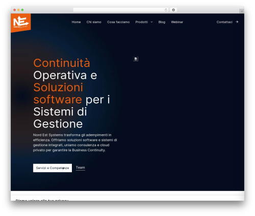 WordPress theme Nes - nordest.systems