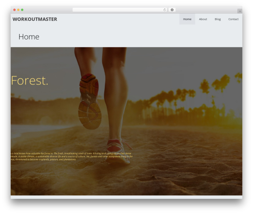 Gp premium 2 WordPress plugin - workoutmaster.com