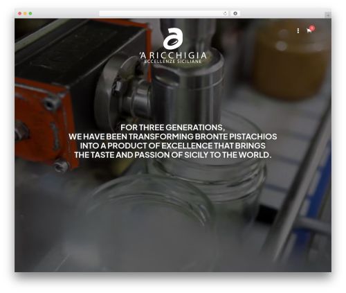 Divi theme WordPress - aricchigia.com