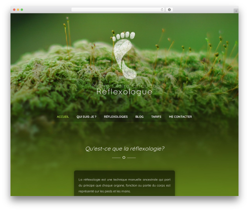 Optimizer PRO premium WordPress theme - lespieds-sur-terre.fr
