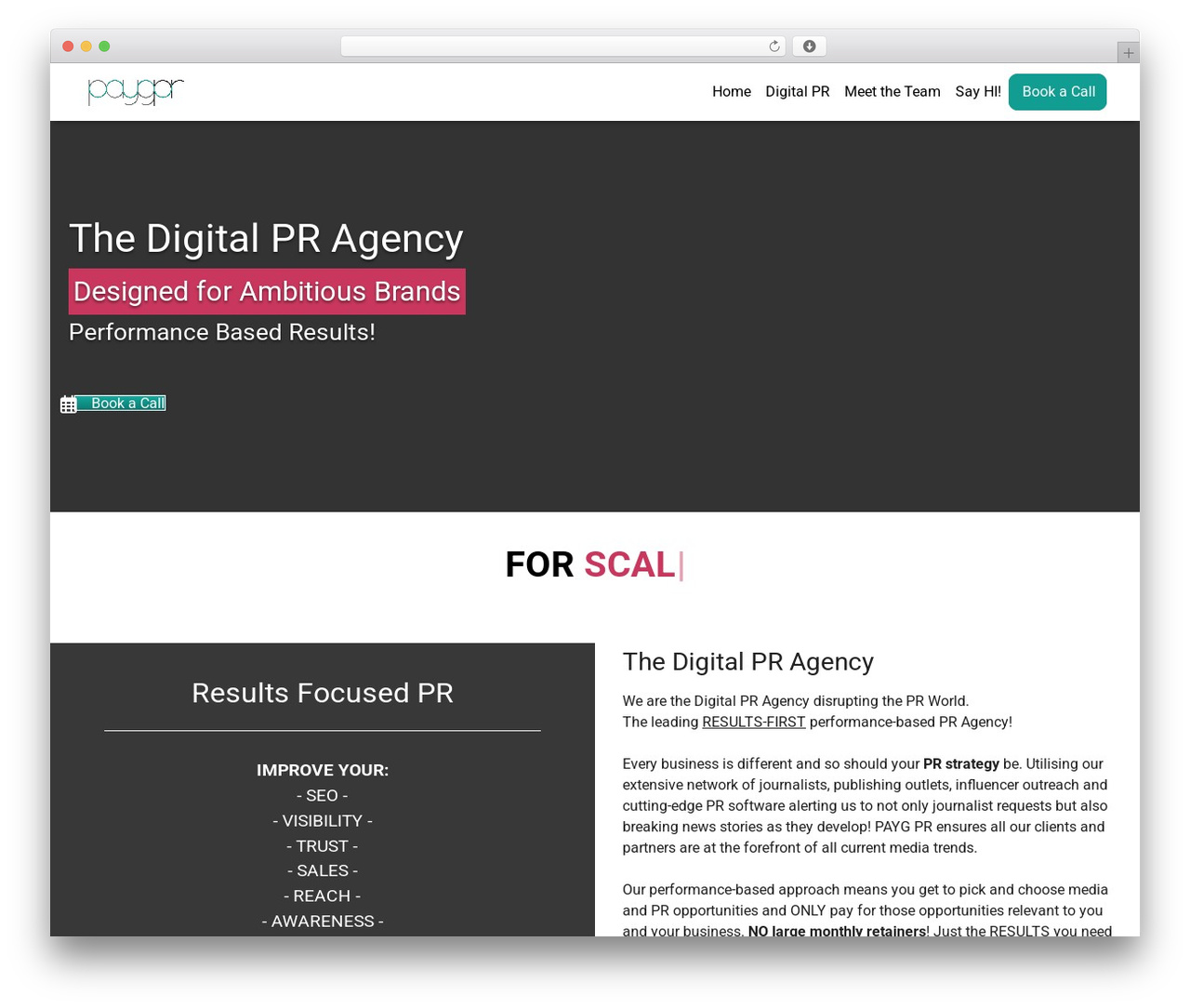 WordPress theme Conversions - paygpr.com