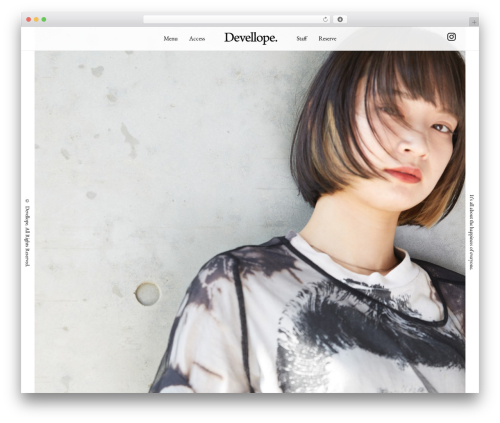WP theme wp theme - devellope.com