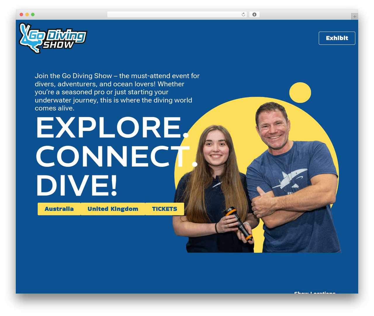 Hello Elementor theme WordPress - godivingshow.com