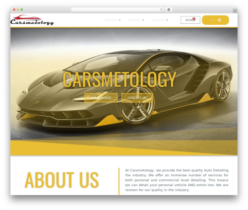 Hello Elementor WordPress theme - carsmetology.com