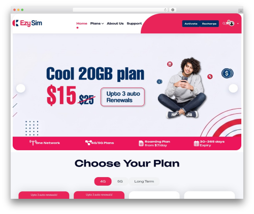 Telnet core WordPress plugin - ezysim.com.au