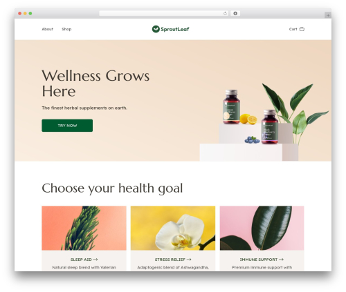 WordPress theme sproutleaf - sproutleaf.com