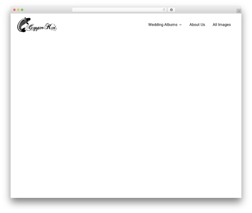 Modula exif WordPress plugin - thecopperkoi.com