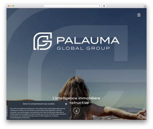 WordPress theme Divi - palaumaglobalgroup.com