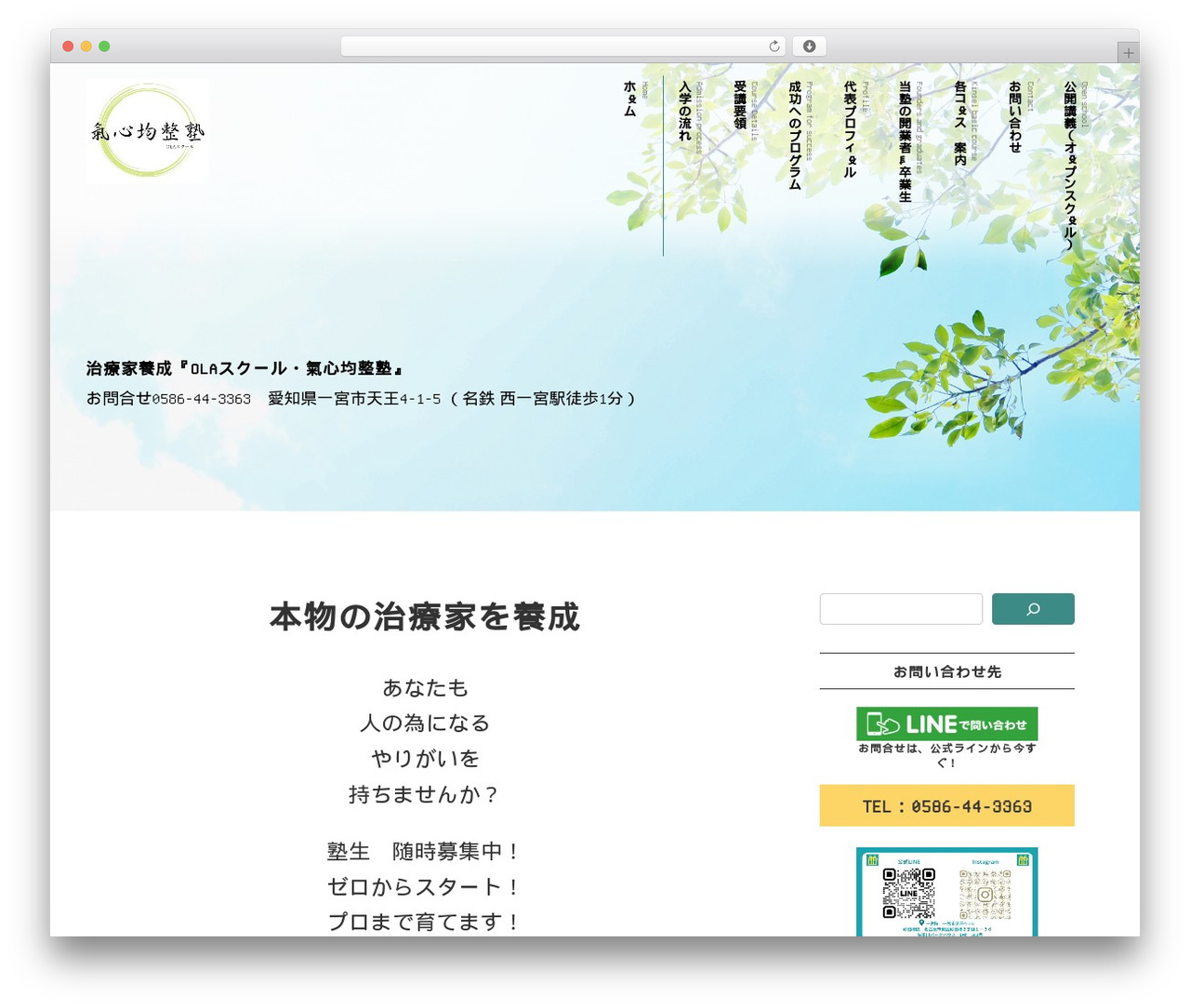 WordPress theme Lightning - kisinjuku.com
